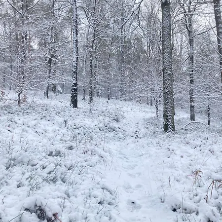 Chez Mamy Pol Autour Du De La Gileppe *